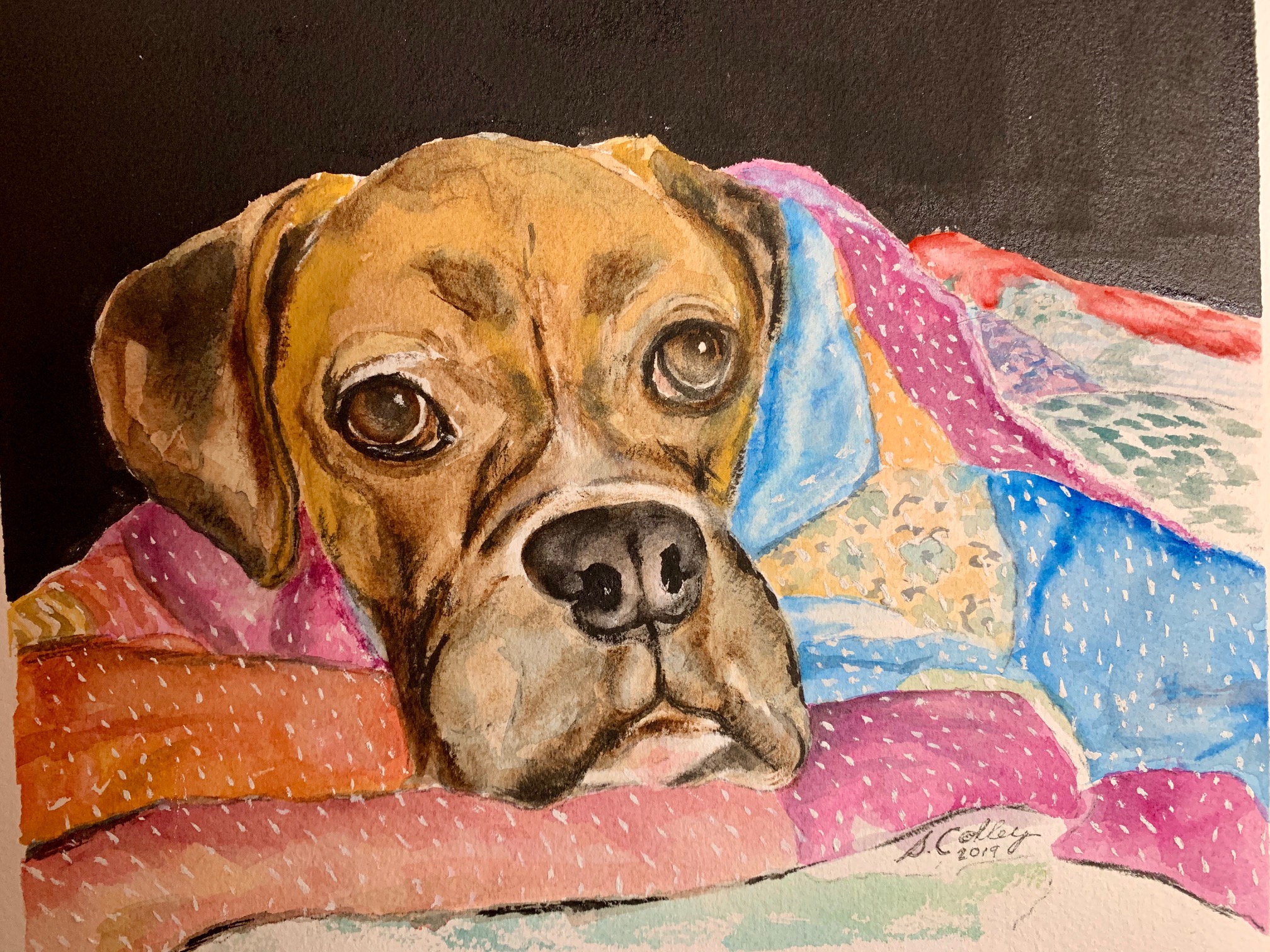 Boxer in blanket to post