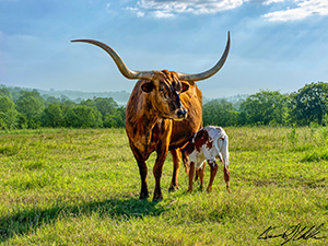 Mother and Child